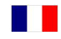 french-flag-sized